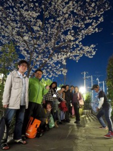 夜桜。